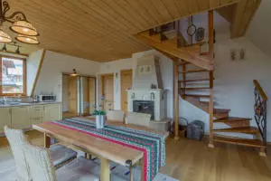 Appartement HANKA - cheminée